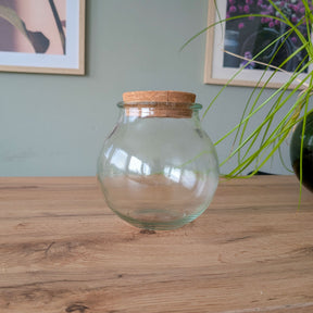  - Hydro ampoule P15 - Collections de plantes d'intérieur