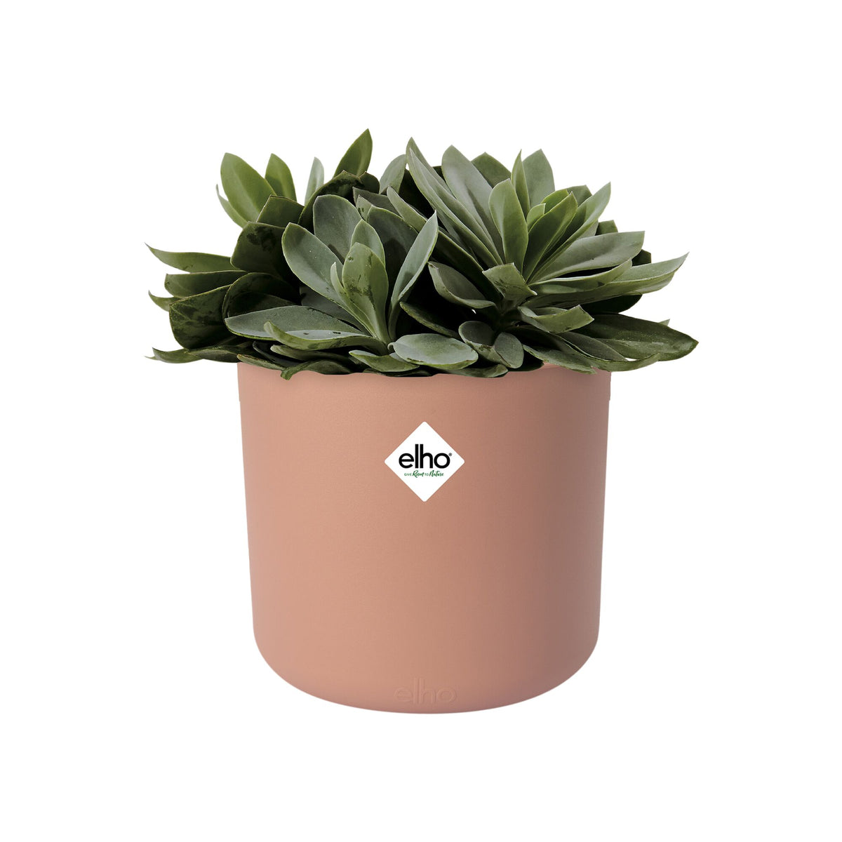 Cache-pot B for soft rond rose ELHO -  - Willemse