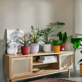 Cache-pot Jazz jaune ELHO - Cache-pots & Pots - Willemse