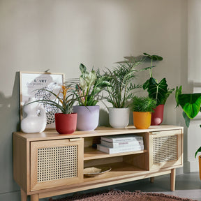 Cache-pot Jazz lilas ELHO - Cache-pots & Pots - Willemse