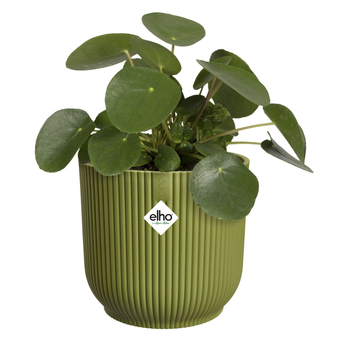 Cache-Pot Vibes fold rond Vert fougère ELHO -  - Willemse