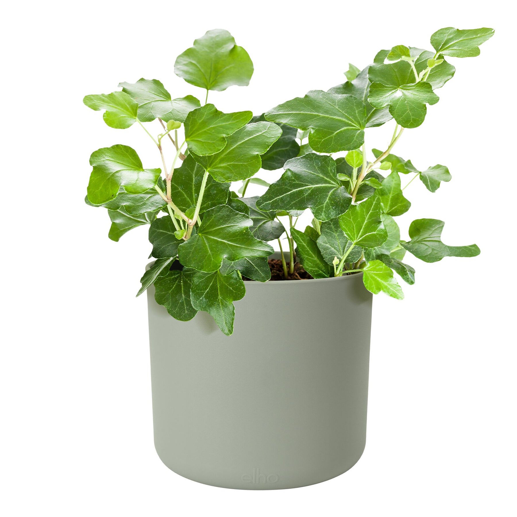 Cache-Pot Soft rond Vert pierre ELHO -  - Willemse