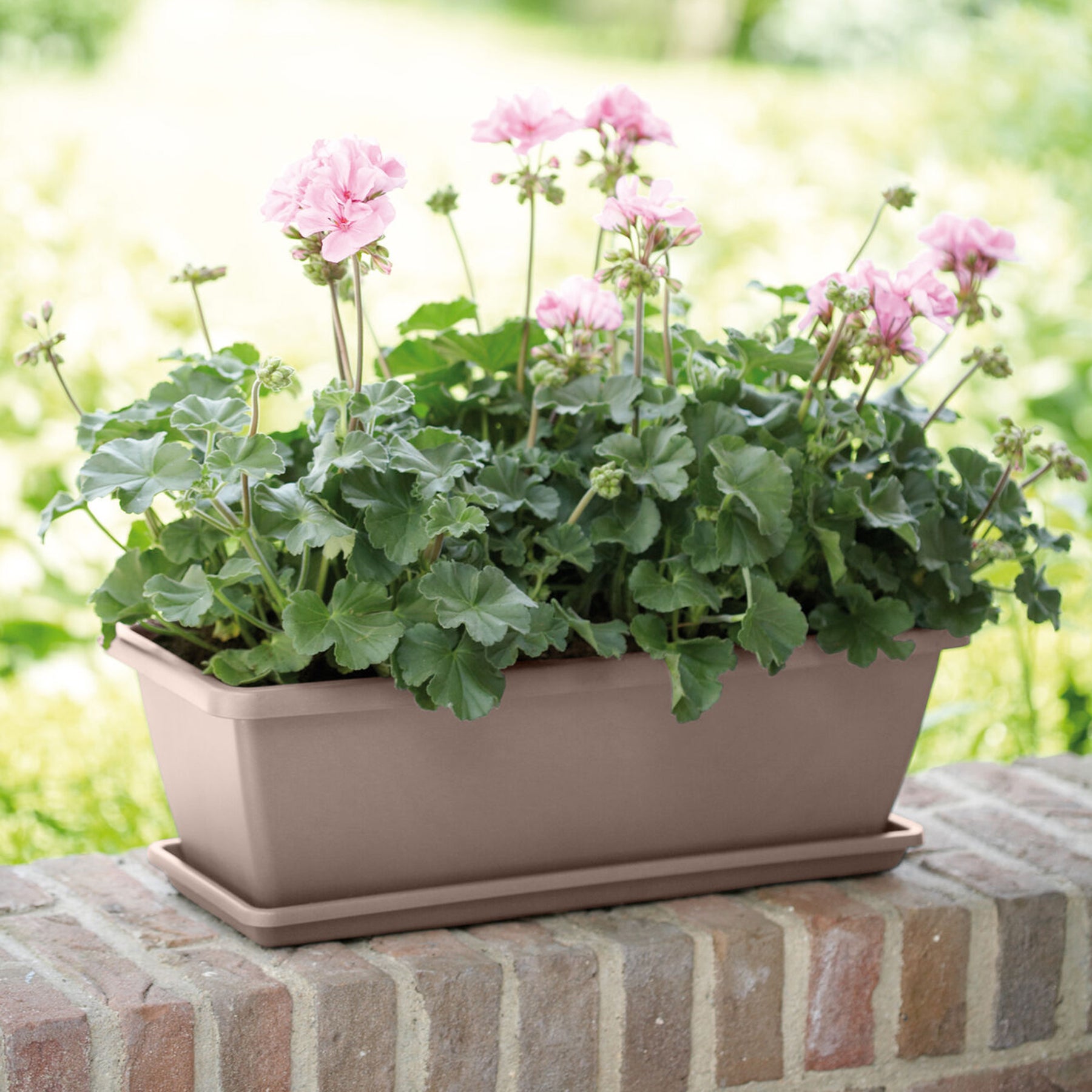 Jardinière Barcelona Taupe ELHO - Willemse