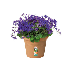 Cache-pots & Pots - Pot de culture Green Basics Terre cuite - 