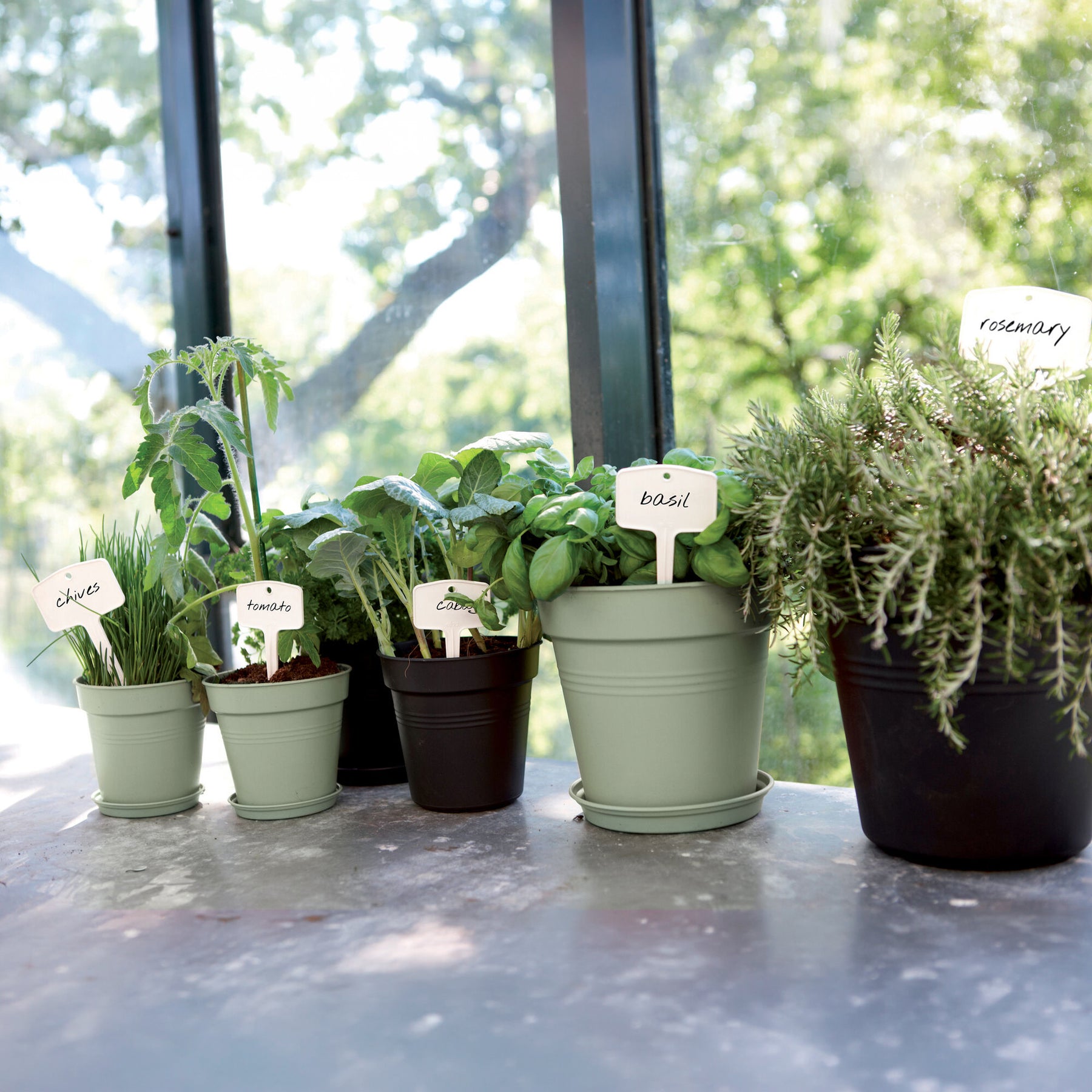 Vente Pot de culture Green Basics Terre cuite - 
