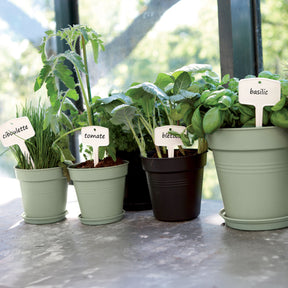  - Soucoupe Green Basics Vert pierre ELHO - Soucoupes et supports roulants