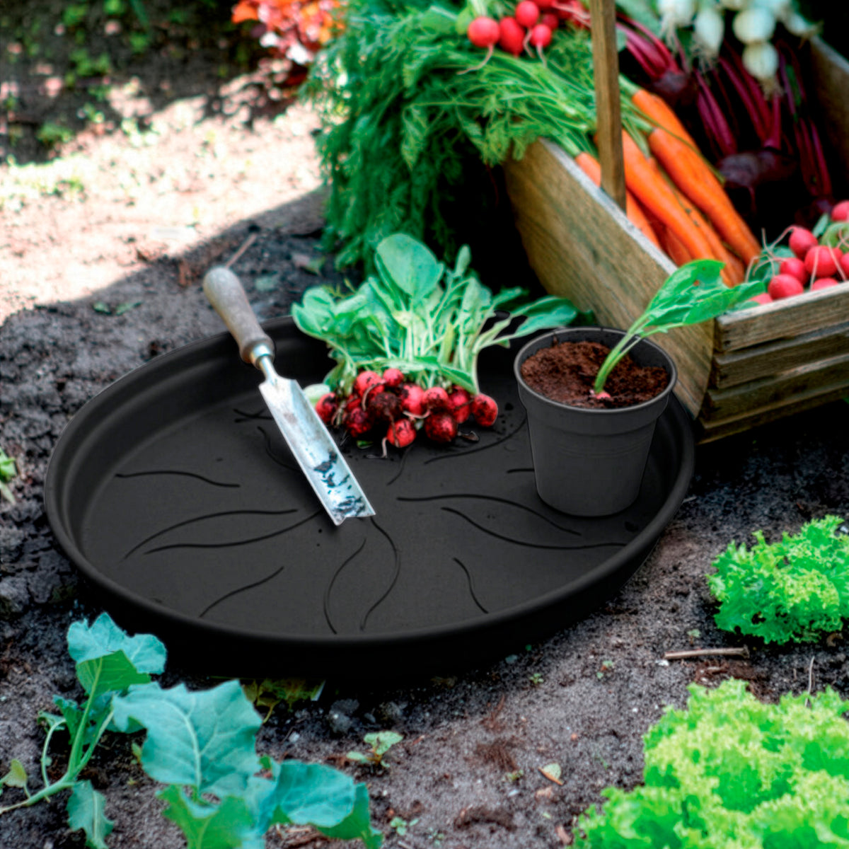 Soucoupe Green Basics Living noir ELHO -  - Willemse