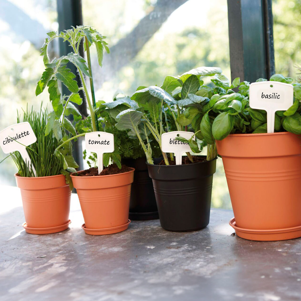 Soucoupe Green Basics Terre cuite ELHO -  - Willemse