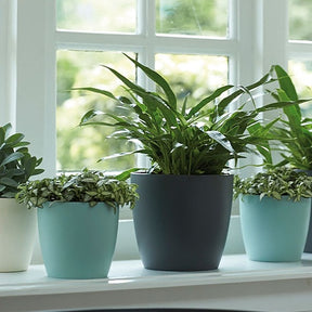 Vente Cache-pot Brussels Round anthracite ELHO - 