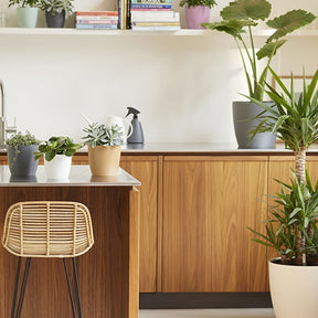 Vente Cache-pot Brussels Round anthracite ELHO