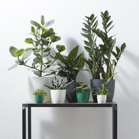  - Cache-pot Brussels Round anthracite ELHO - Cache-pots & Pots