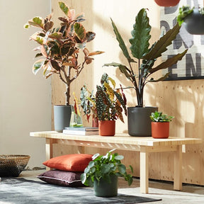  - Elho Cache-pot B for soft rond blanc - Cache-pots & Pots