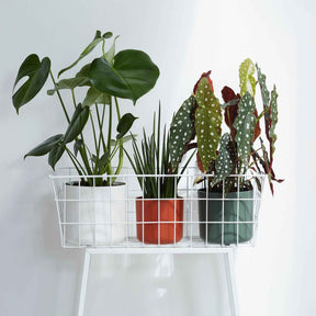 Vente Elho Cache-pot B for soft rond blanc