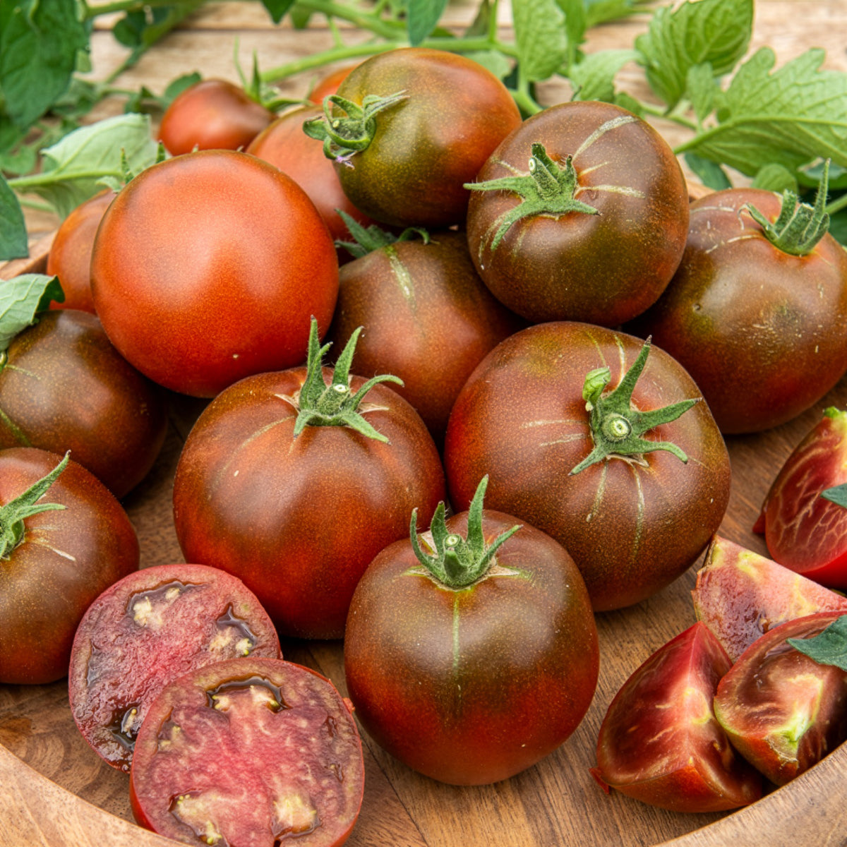 Tomate Noire russe - Willemse