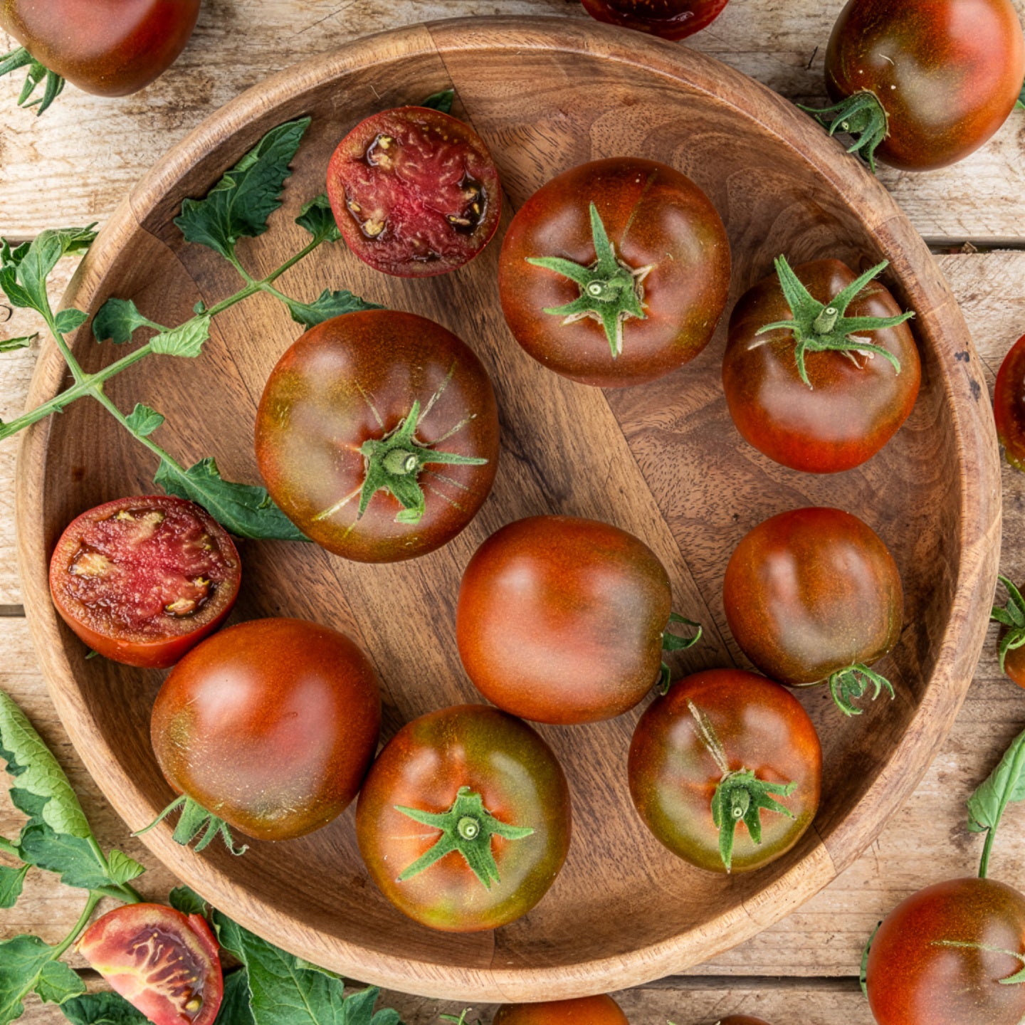 Solanum lycopersicum noire russe - Tomate Noire russe - Tomates