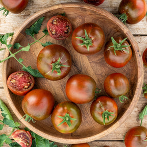 Solanum lycopersicum noire russe - Tomate Noire russe - Tomates