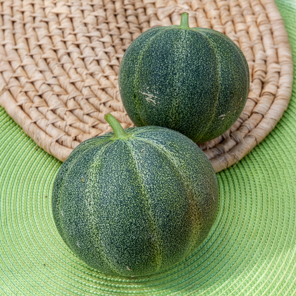Melon Petit Gris de Renne - Cucumis melo Petit Gris de Renne - Willemse