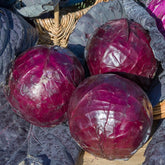 Chou rouge Tête noire 3 - Brassica oleracea capitata tête noire 3 - Graines de fruits et légumes