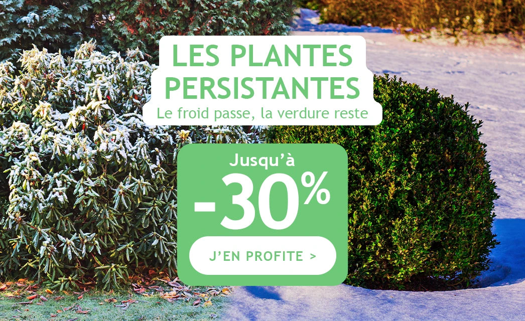 Jusqu'à -30% sur les plantes résistantes