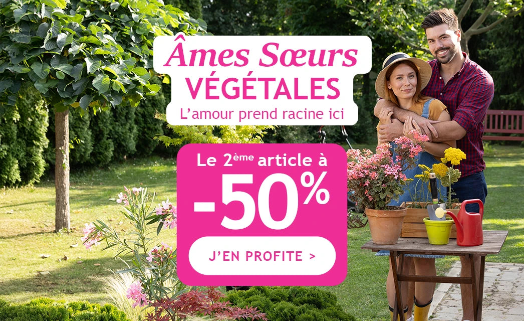 1 plante achetée, la 2e à -50% ! 