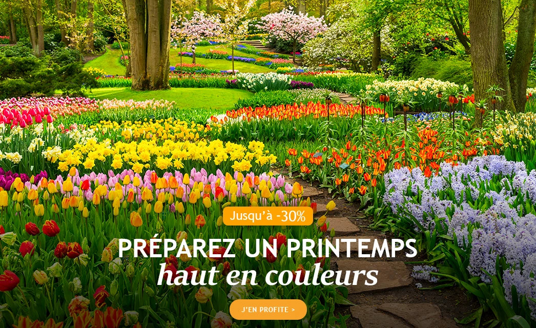 Un printemps haut en couleurs : jusqu'à -30% !