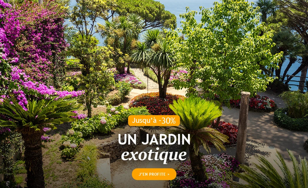 Jusqu'à -30% pour un jardin exotique !