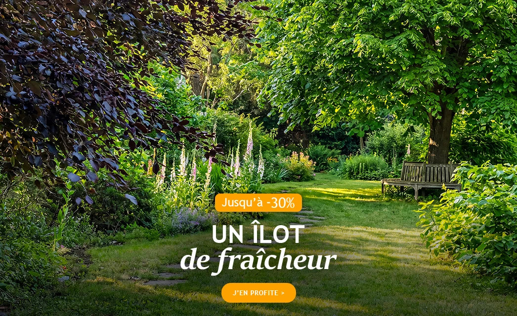 Un îlot de fraîcheur jusqu’à -30% de remise !