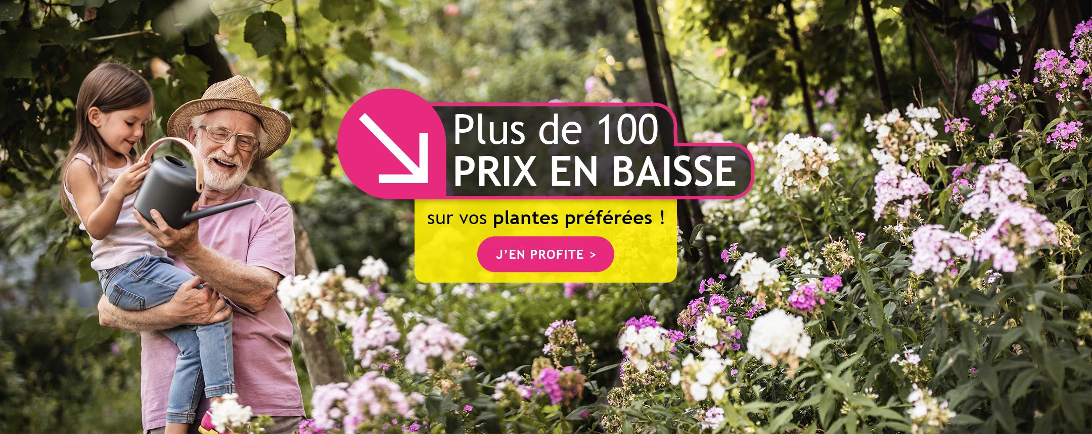 Plus de 100 prix en baisse sur vos plantes préférées !
