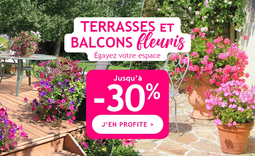 Terrasse et balcon fleuris jusqu'à -30% !