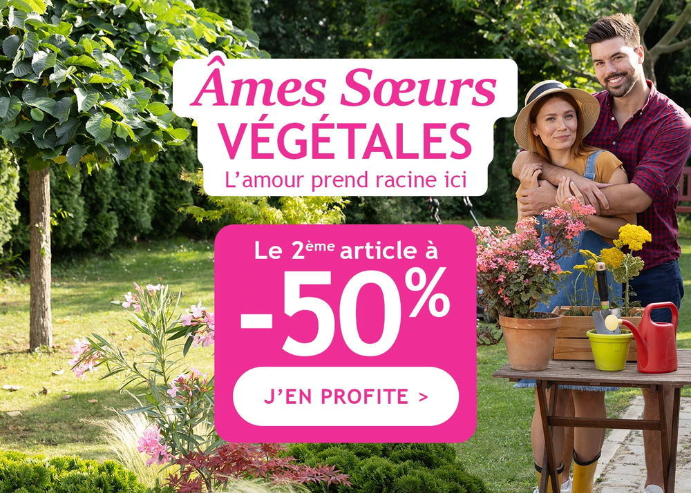 1 plante achetée, la 2e à -50% ! 
