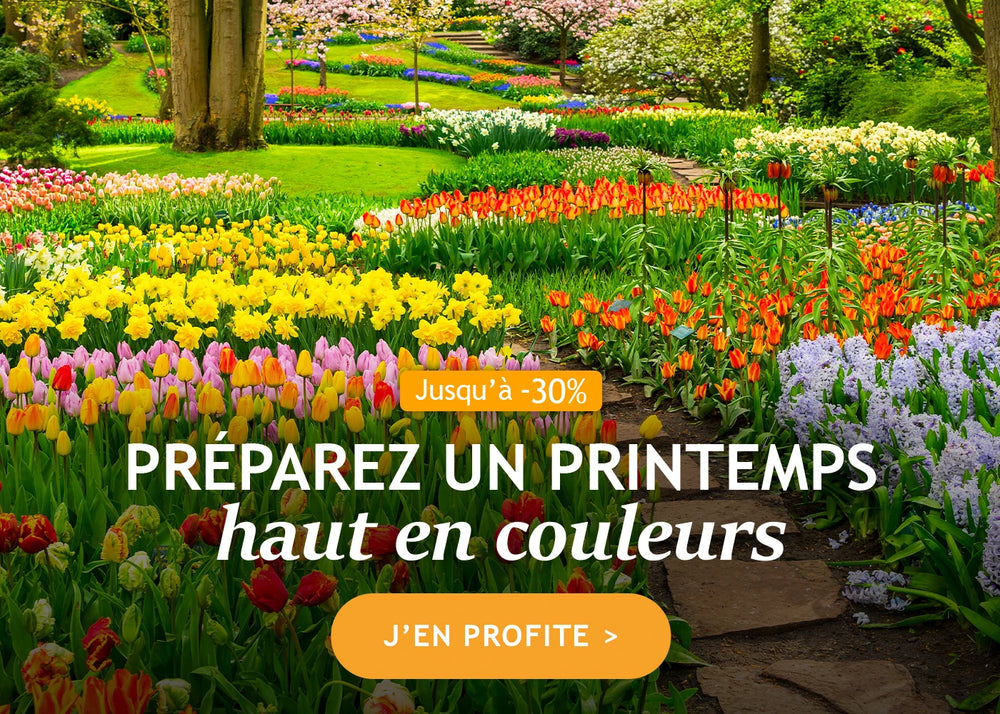 Un printemps haut en couleurs : jusqu'à -30% !