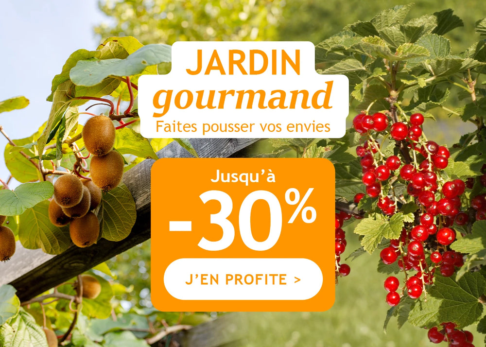 Jusqu'à -30% pour un jardin gourmand !