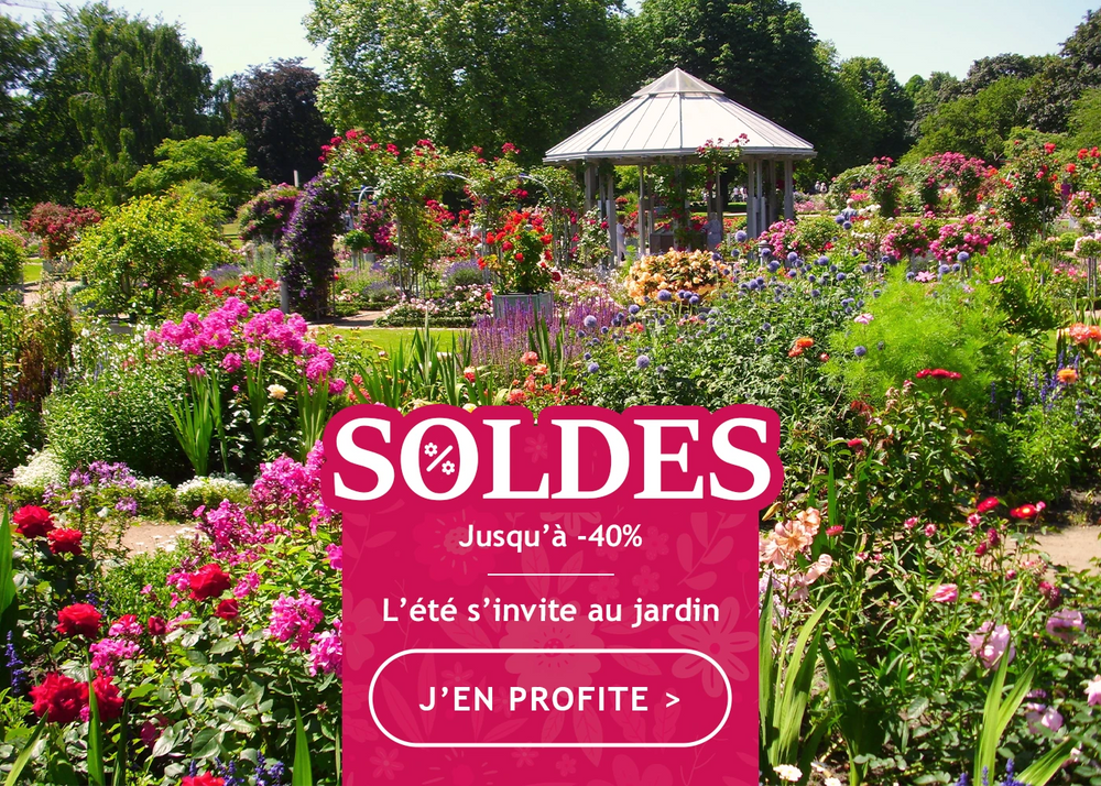 Soldes d’été jusqu’à -40% de remise