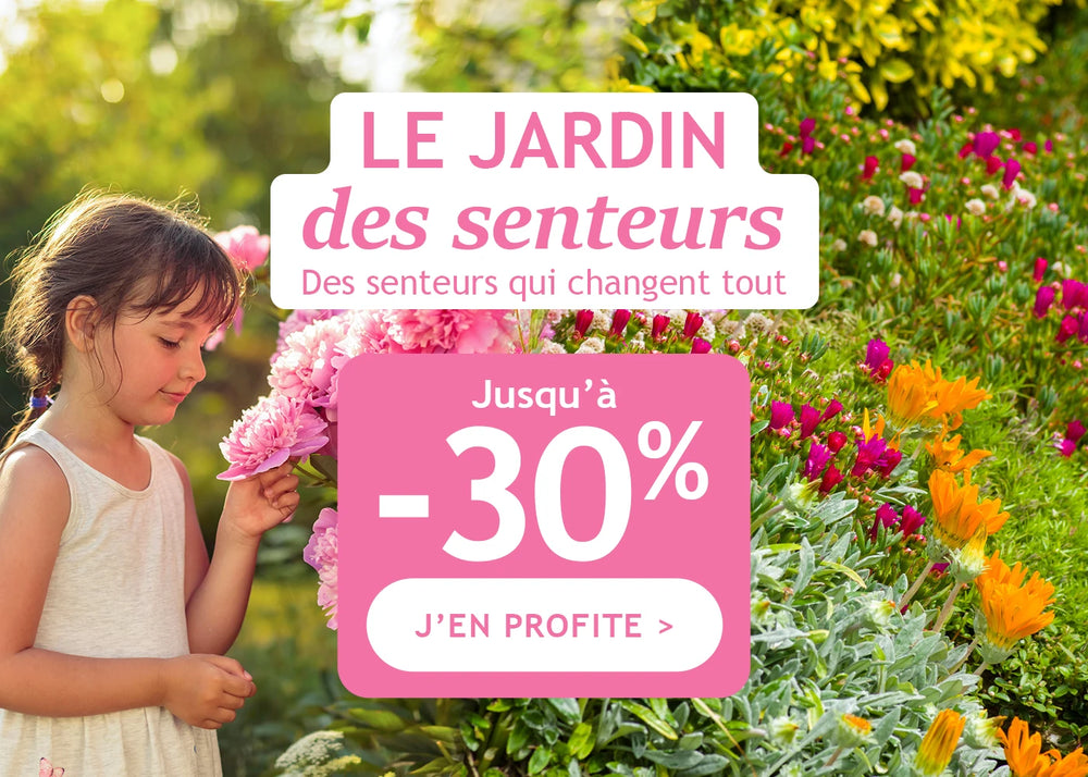 Le jardin des senteurs : jusqu’à -30% !