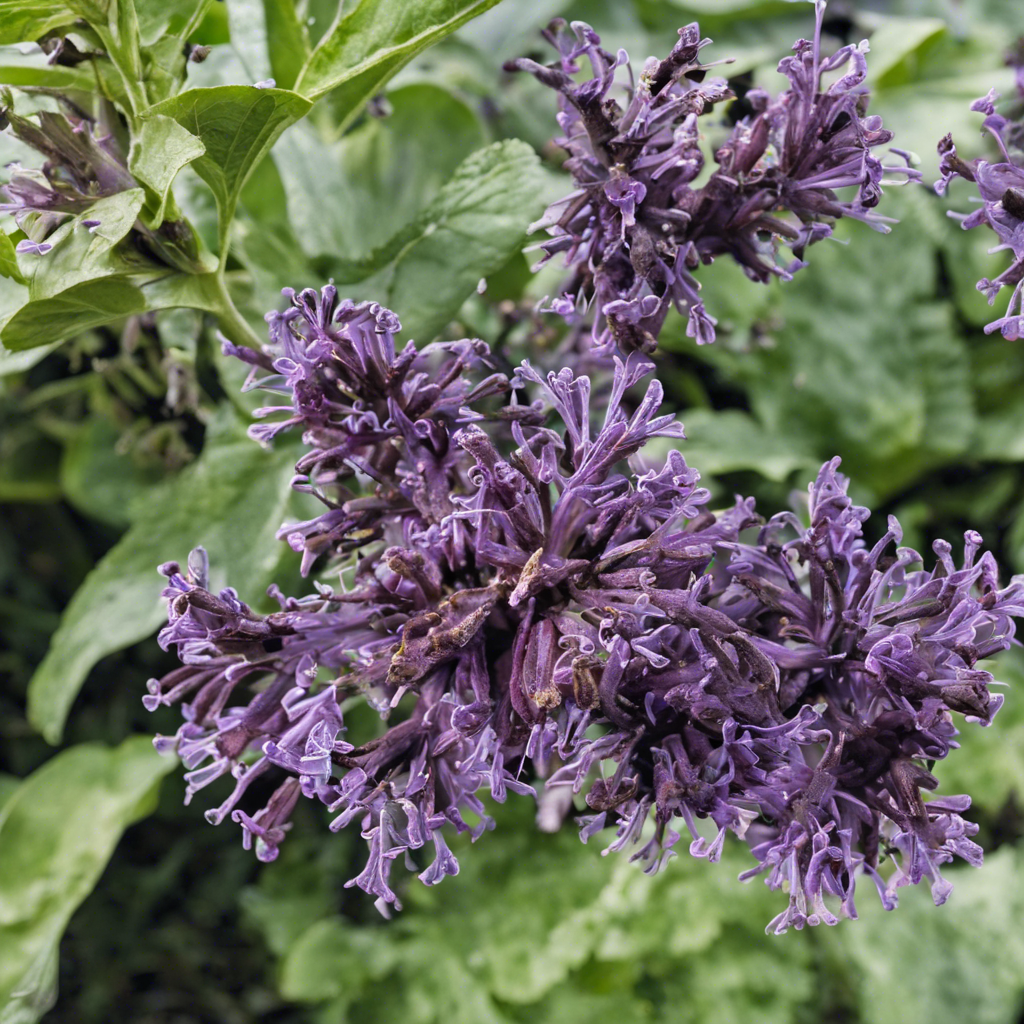 Identifier et traiter les maladies courantes du lilas pour un jardin en pleine santé-1_YZ.png__PID:76647564-73f9-42e1-995f-5297bb08f755