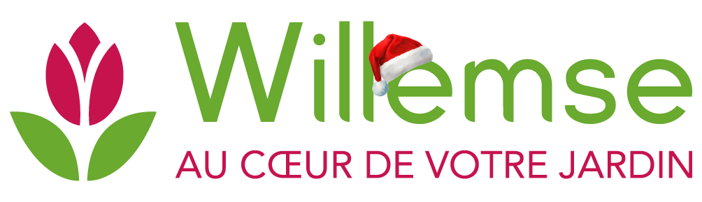 Logo Willemse - Noël