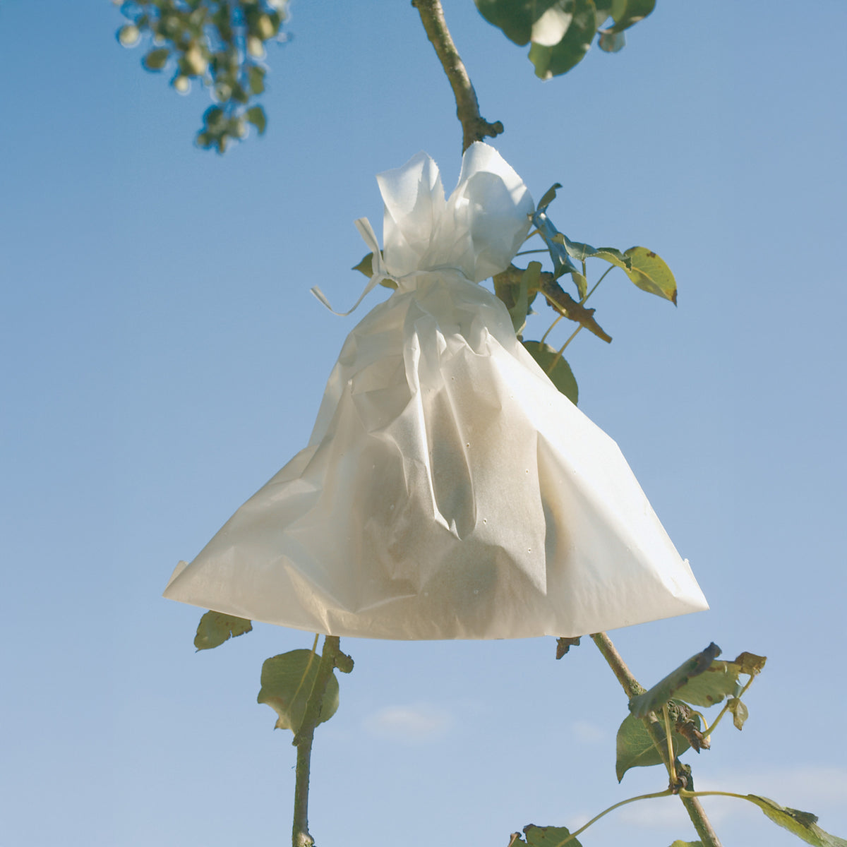 Housse à fruits - Fruitsac -  - Willemse