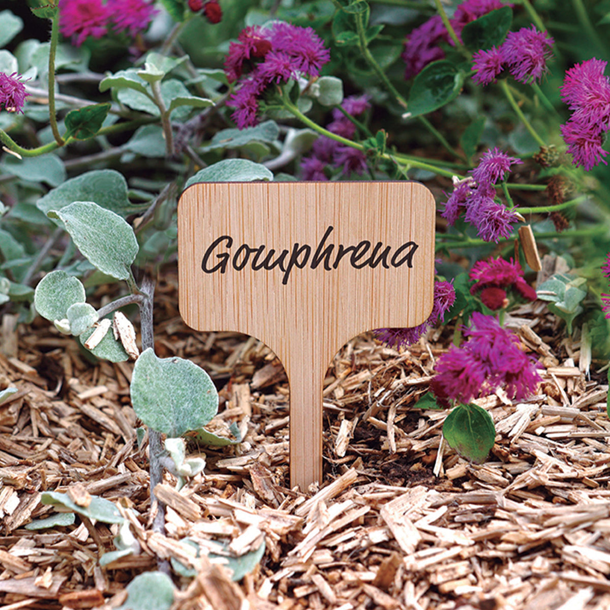 Etiquette à planter en bambou - Willemse