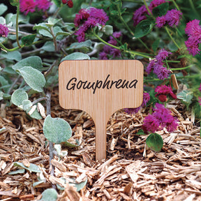 Etiquette à planter en bambou - Willemse