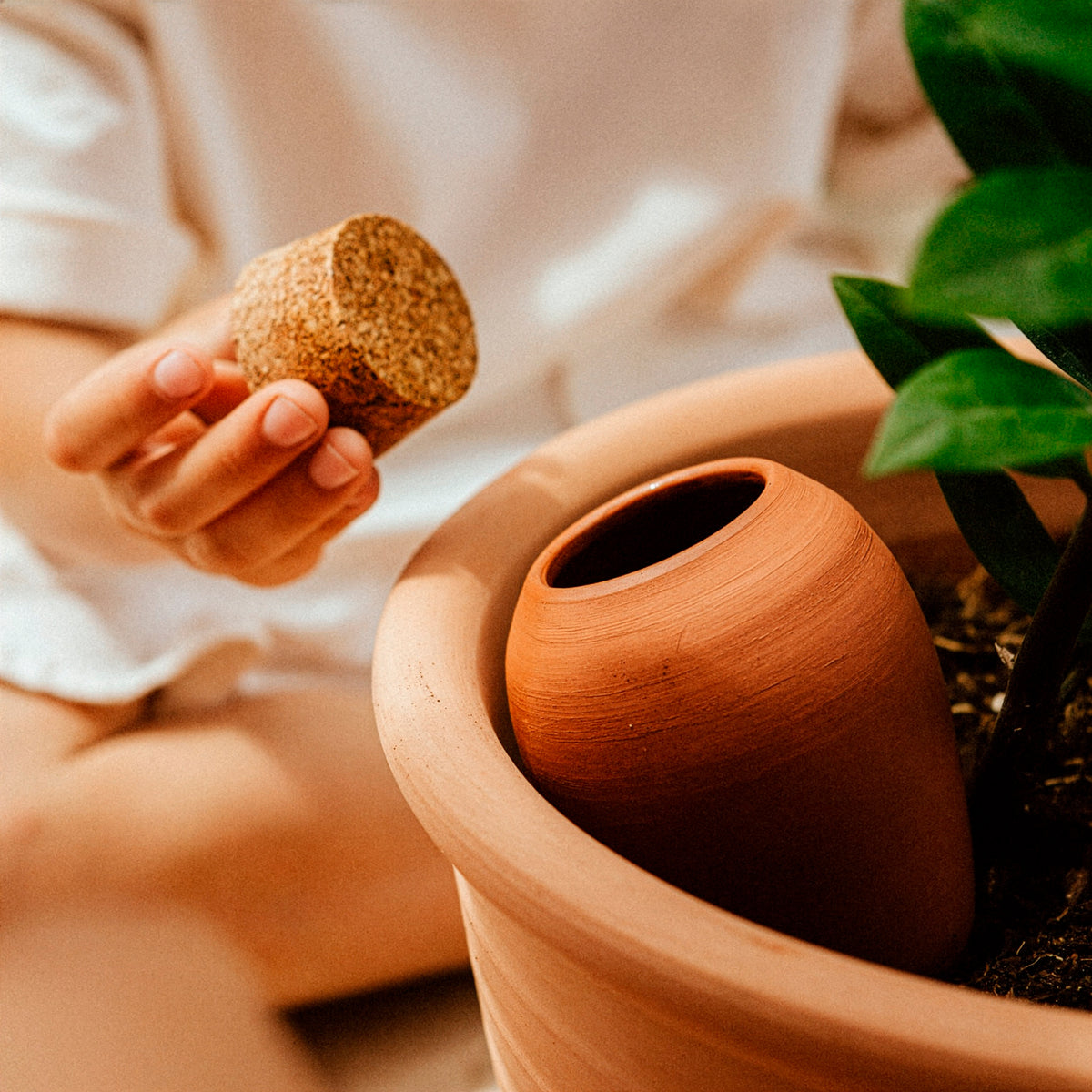 Olla hydratante Terracotta -  - Willemse