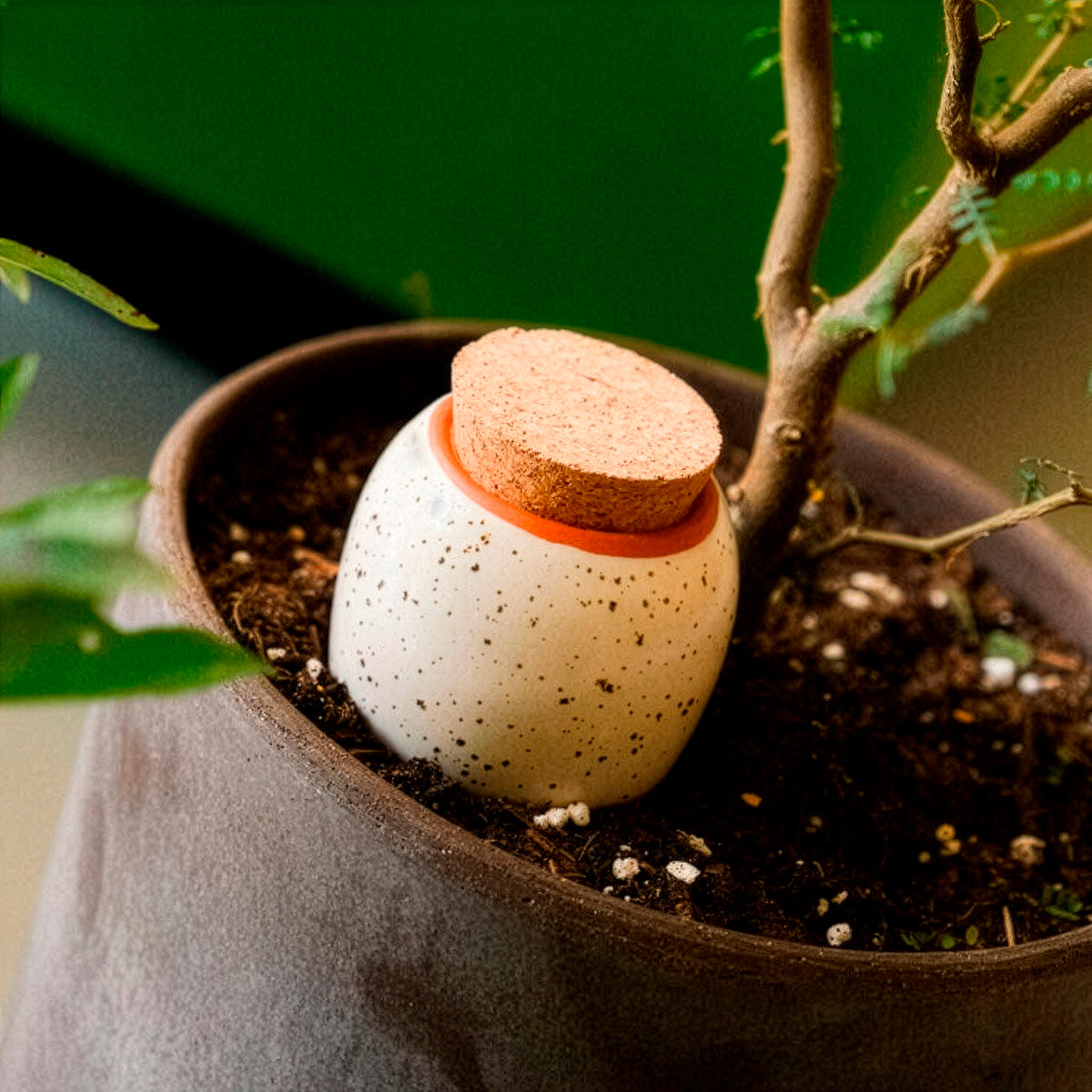 Olla hydratante blanc grainé -  - Willemse