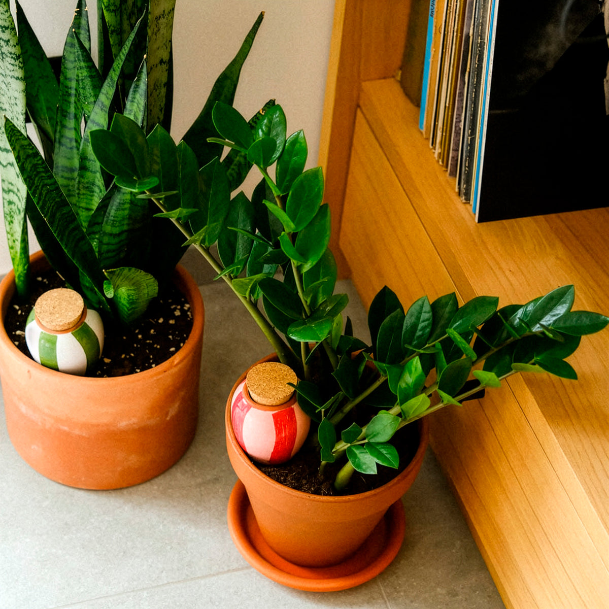 Trio Mini Olla - Les Rayés - Willemse