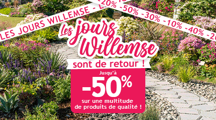 Jours Willemse: jusqu'à -50% de remise !