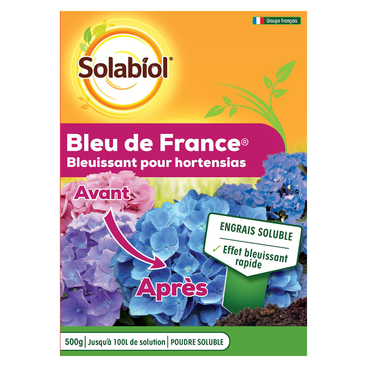 Bleu de France - Willemse