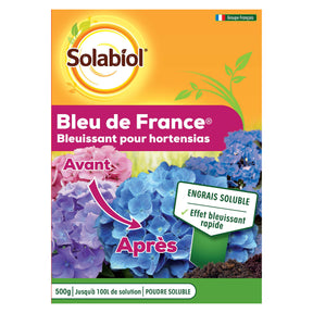 Bleu de France - Willemse