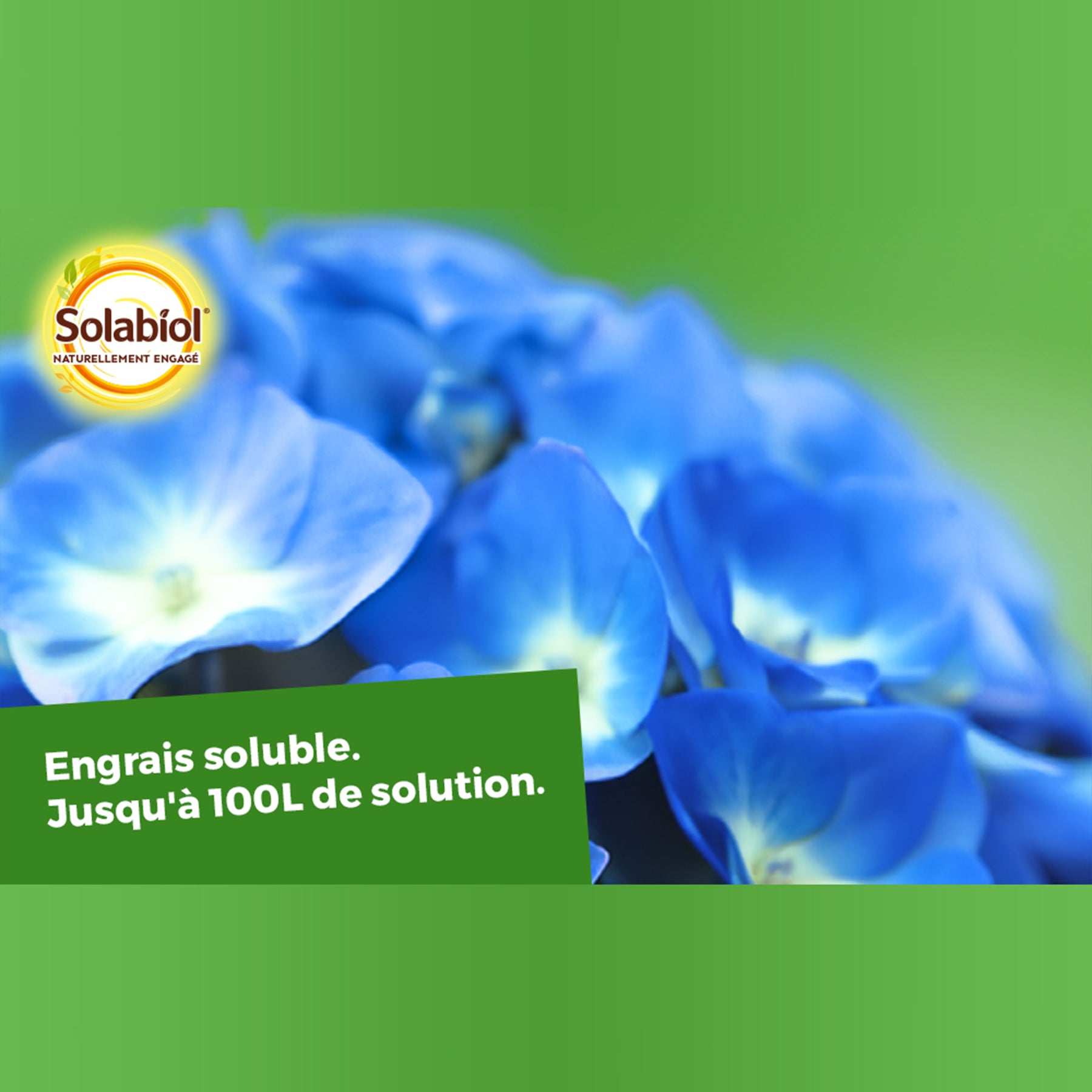  - Bleu de France - Soin et lutte contre les maladies