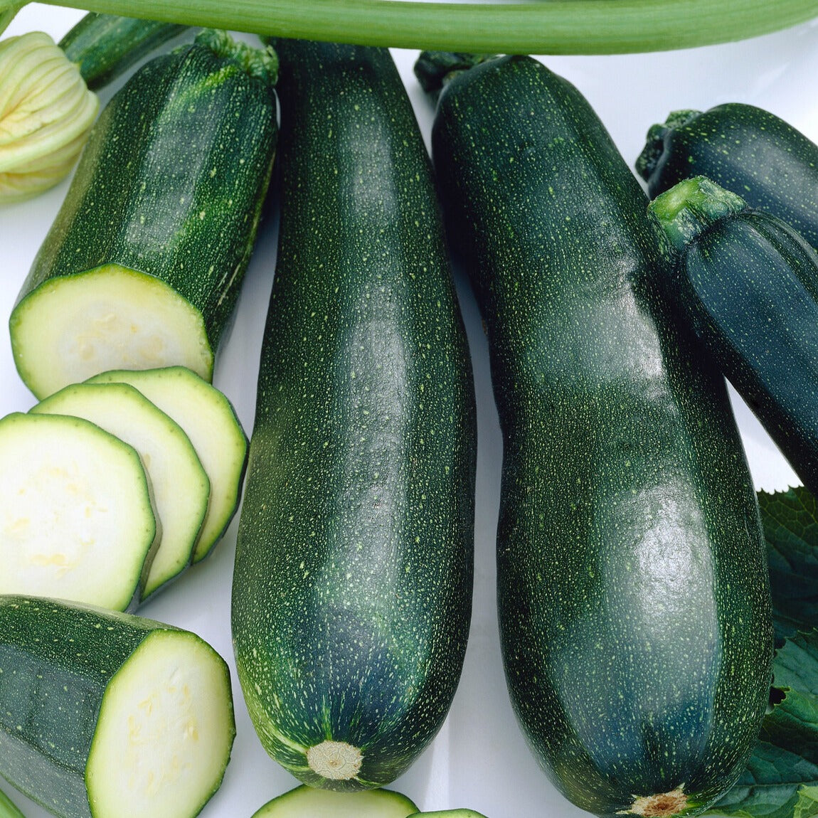 Courgettes - Courgette Black Beauty - Cucurbita pepo  black beauty