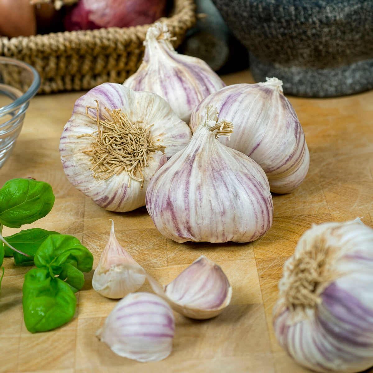 Ail violet Germidour