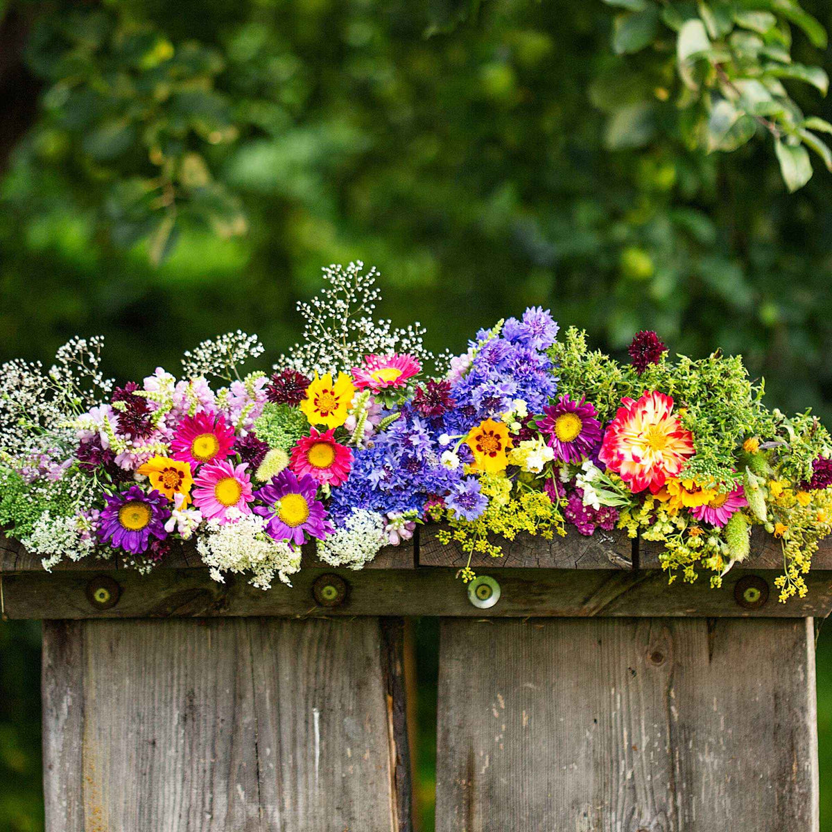 Tapis de fleurs pour jardinière