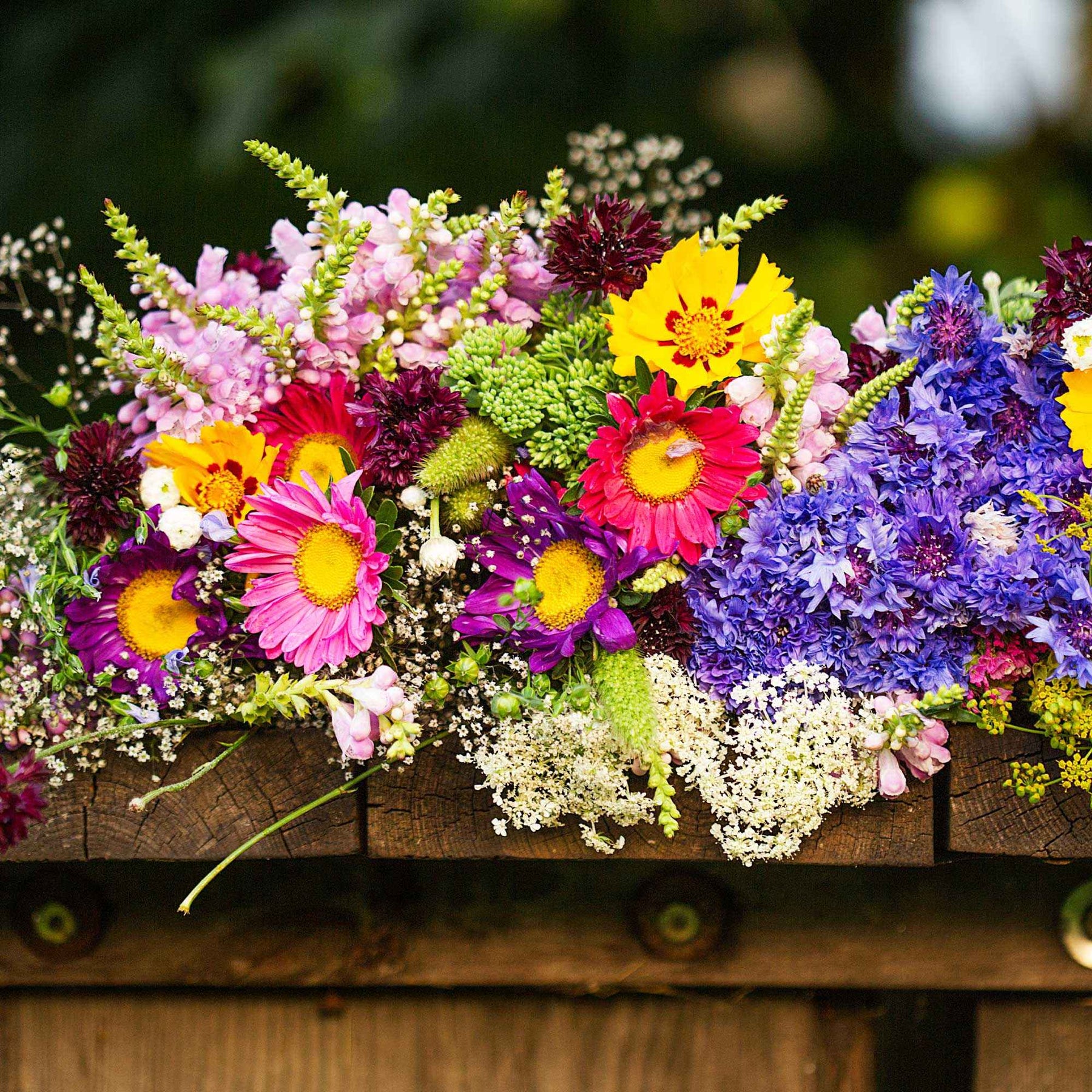 Tapis de fleurs pour jardinière